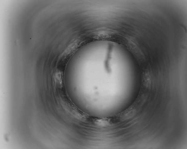 X0000102300232200808011547