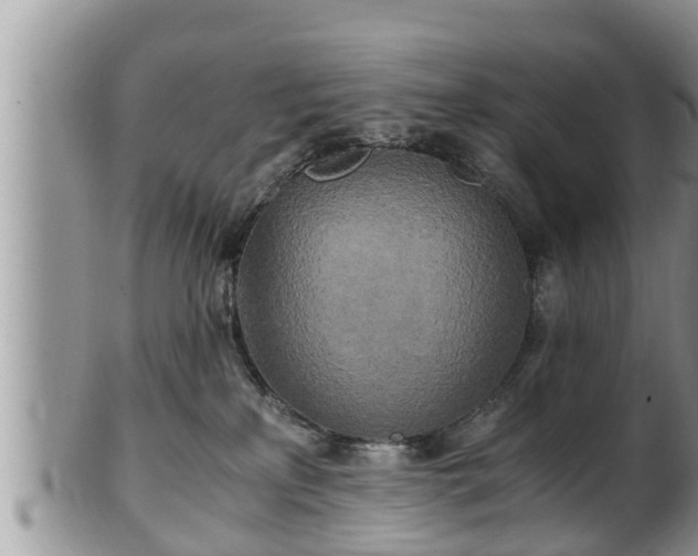 X0000102300233200808011547