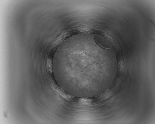 X0000102300234200808011547