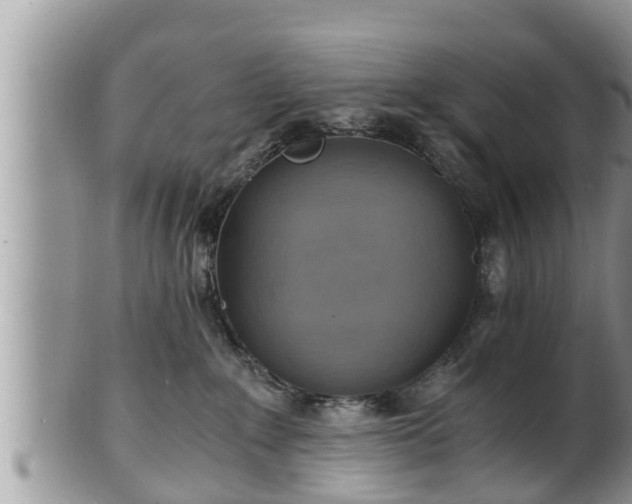 X0000102300235200808011547