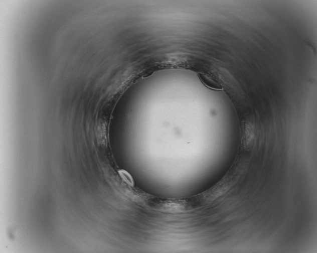 X0000102300236200808011547