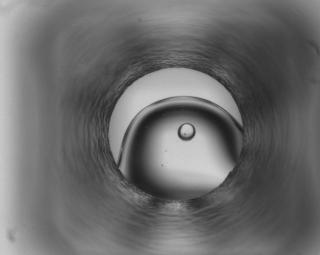 X0000102300237200808011547