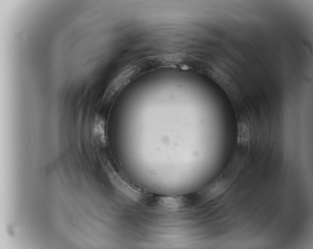 X0000102300238200808011547