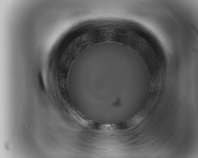 X0000102300239200808011547