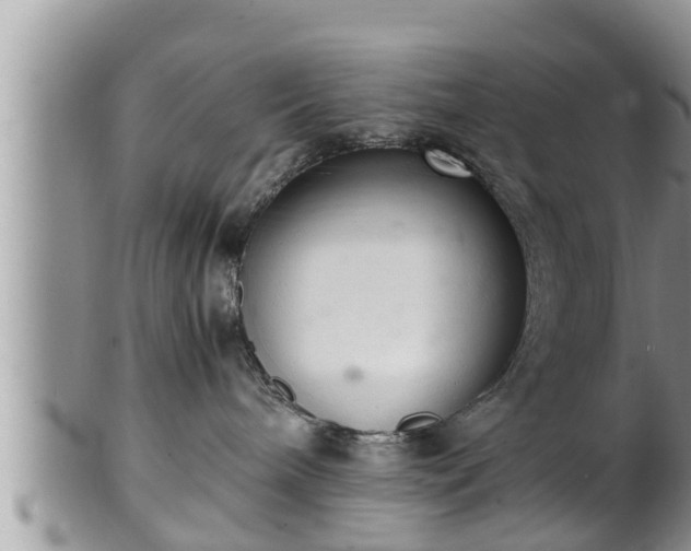 X0000102300240200808011547