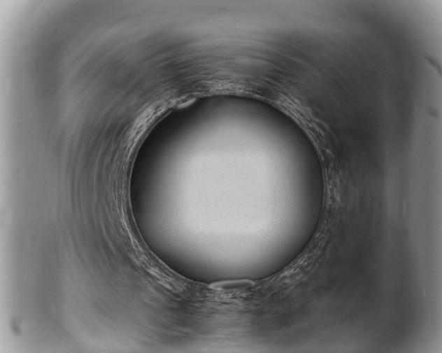 X0000102300241200808011546