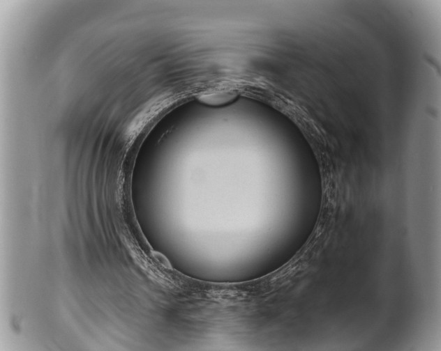 X0000102300242200808011546