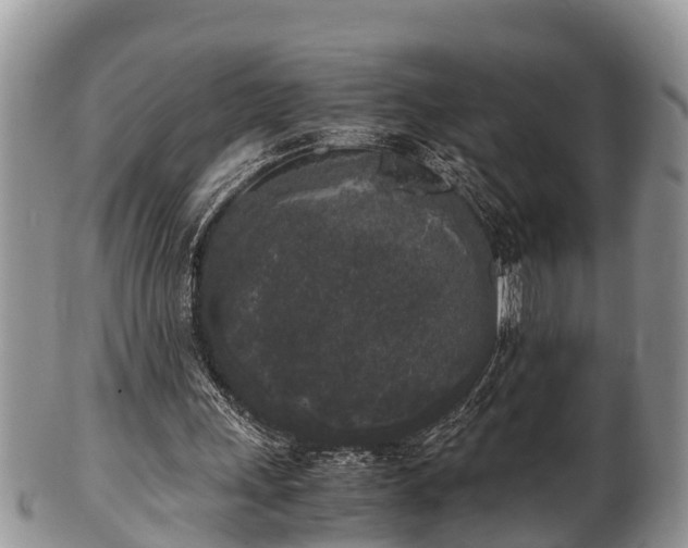 X0000102300243200808011546