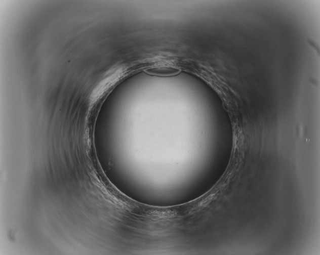 X0000102300245200808011546