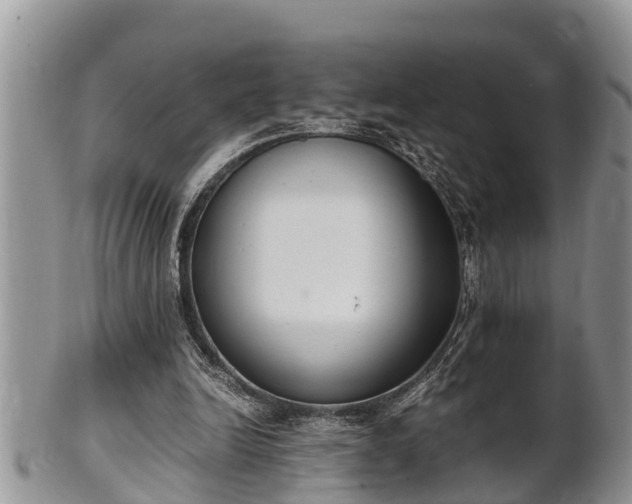 X0000102300246200808011546