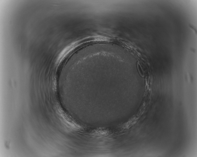 X0000102300247200808011546