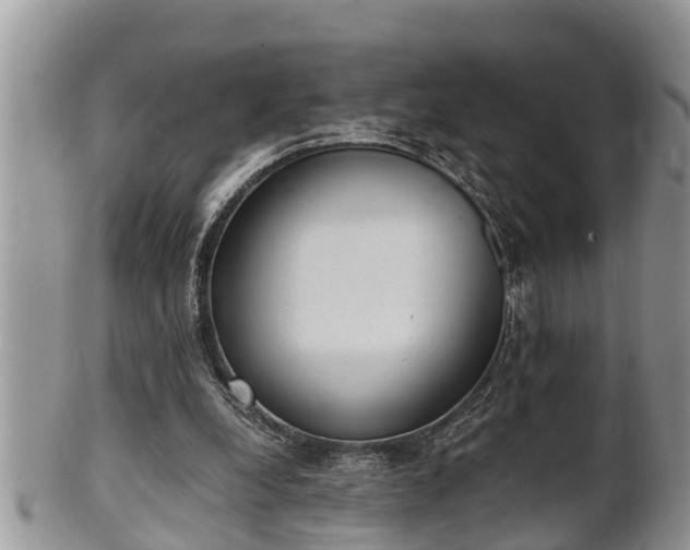 X0000102300248200808011546