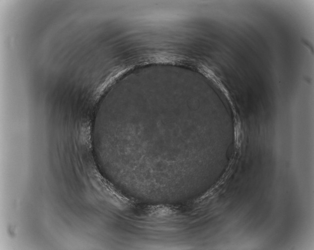 X0000102300249200808011546