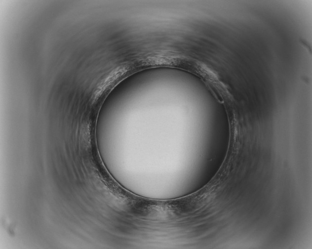 X0000102300250200808011546