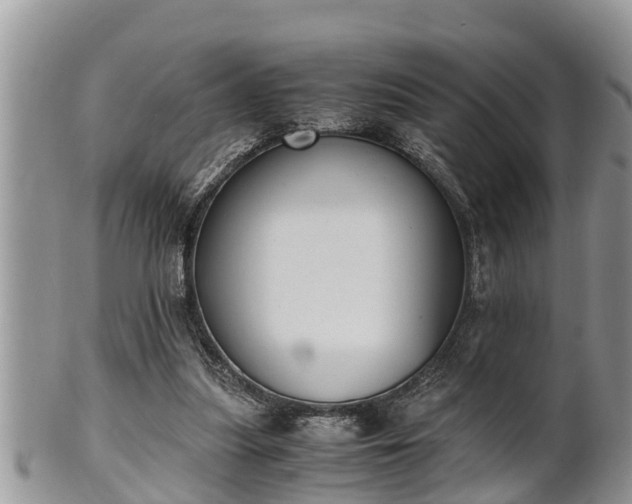 X0000102300251200808011546