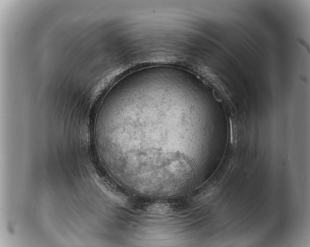 X0000102300252200808011546