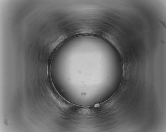 X0000102300253200808011546