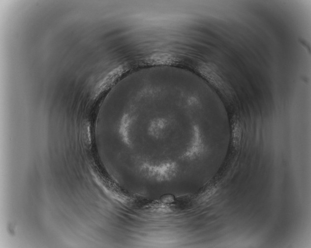 X0000102300254200808011546