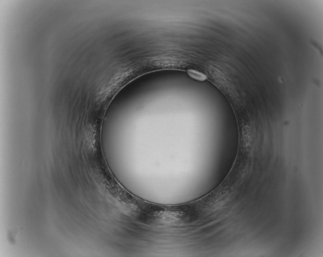 X0000102300255200808011546