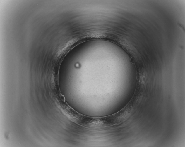 X0000102300256200808011546