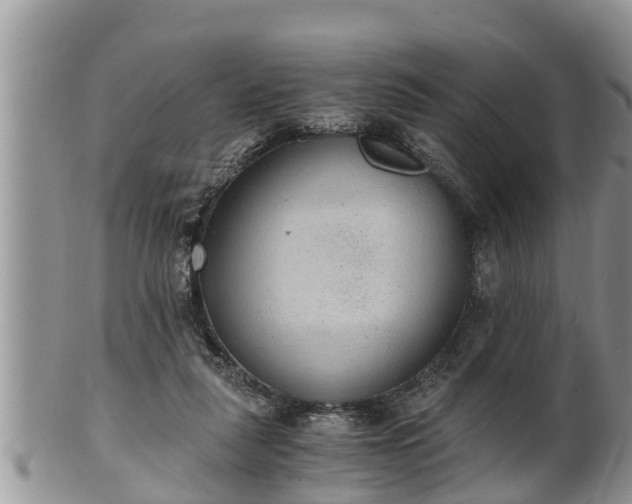 X0000102300259200808011546