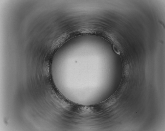 X0000102300261200808011546