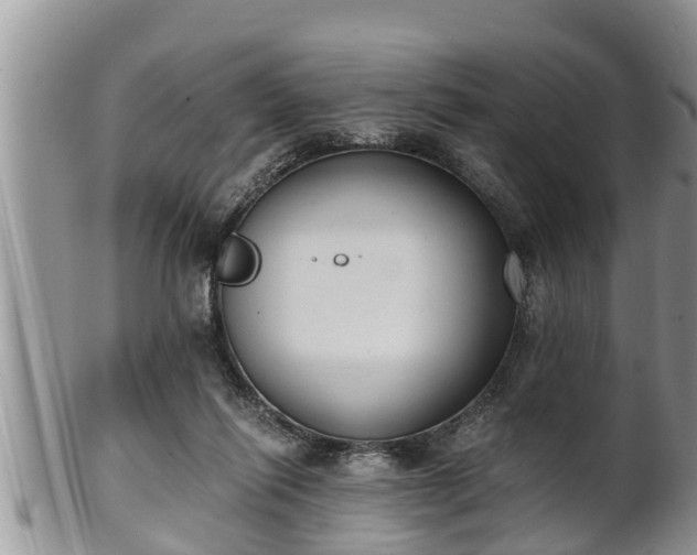 X0000102300262200808011547