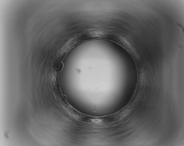 X0000102300265200808011547