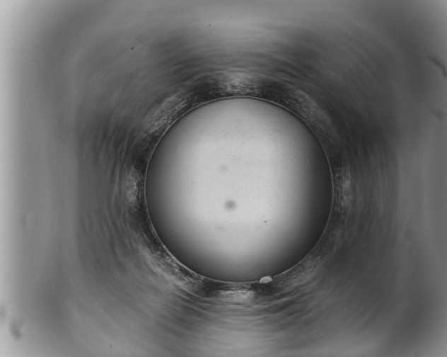 X0000102300266200808011547