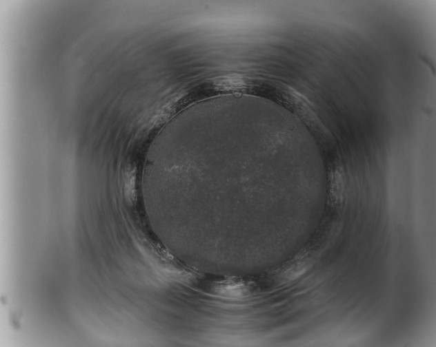 X0000102300267200808011547