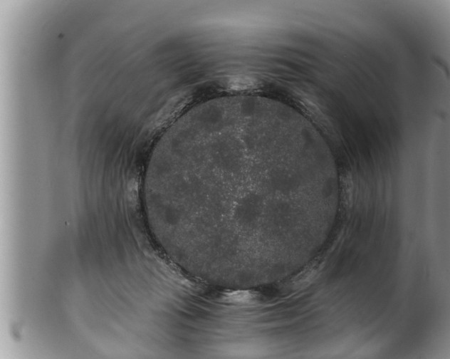 X0000102300269200808011547