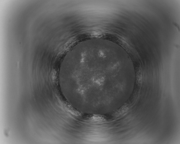 X0000102300270200808011547