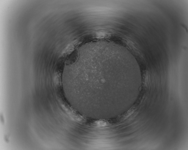 X0000102300272200808011547