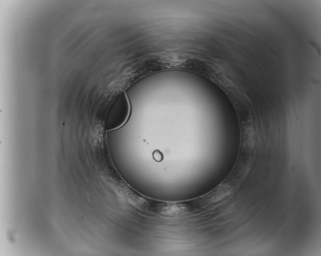 X0000102300274200808011547