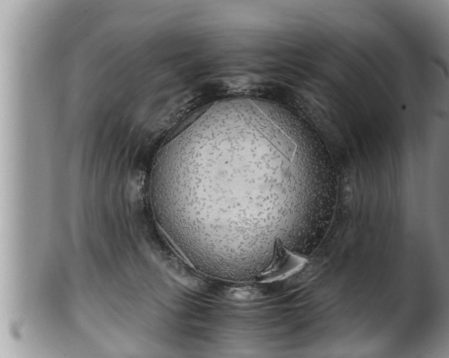 X0000102300275200808011547