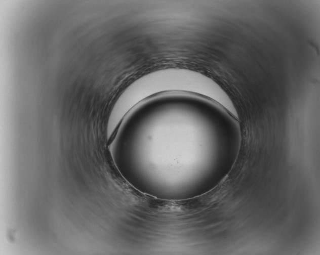 X0000102300276200808011547