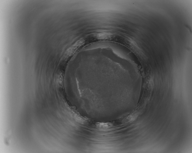 X0000102300277200808011547