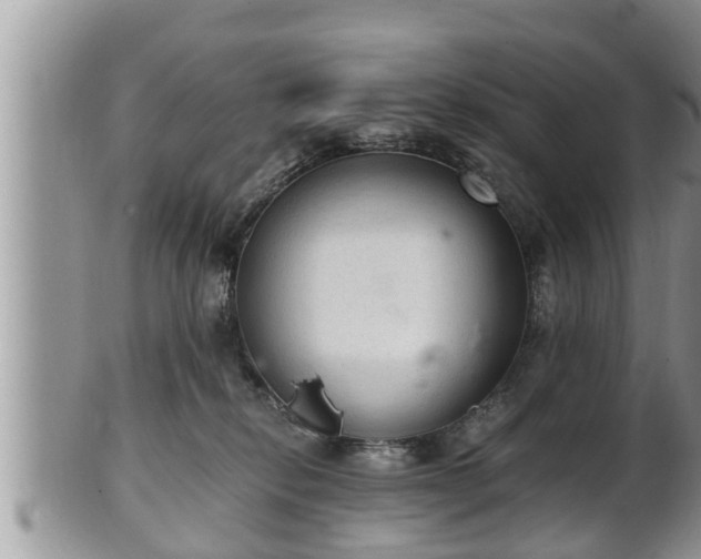 X0000102300278200808011547