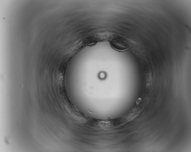 X0000102300279200808011547