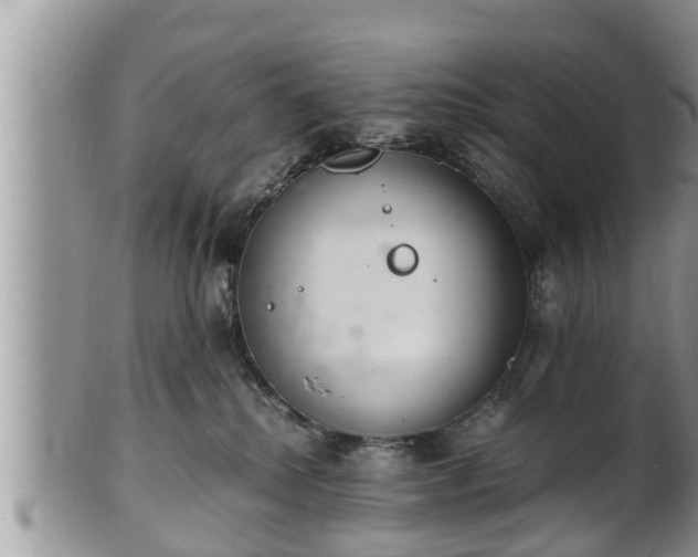 X0000102300280200808011547