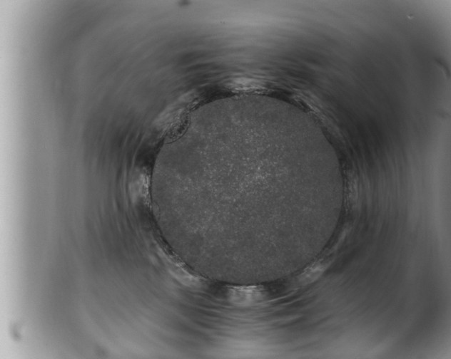 X0000102300281200808011547