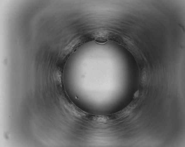 X0000102300282200808011547