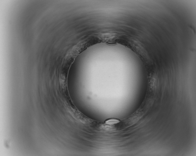 X0000102300283200808011547