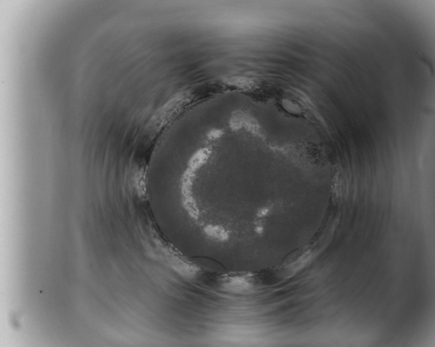 X0000102300285200808011547