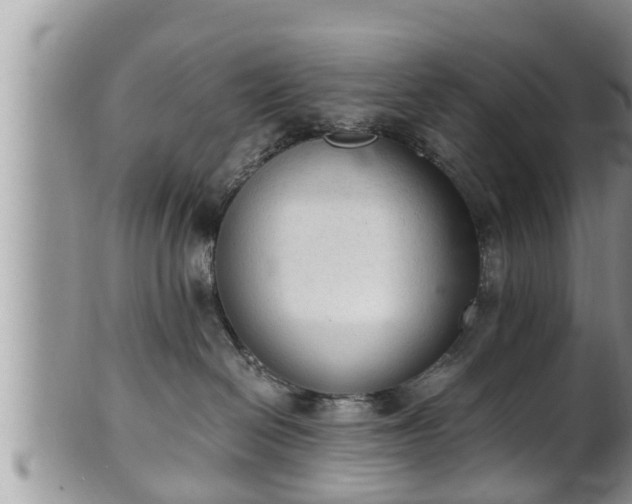 X0000102300286200808011547