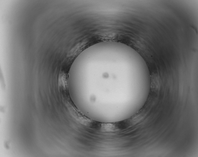 X0000102300287200808011547