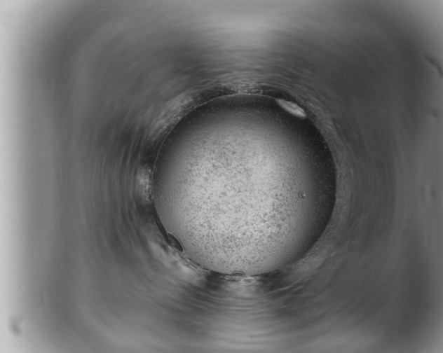 X0000102300288200808011547