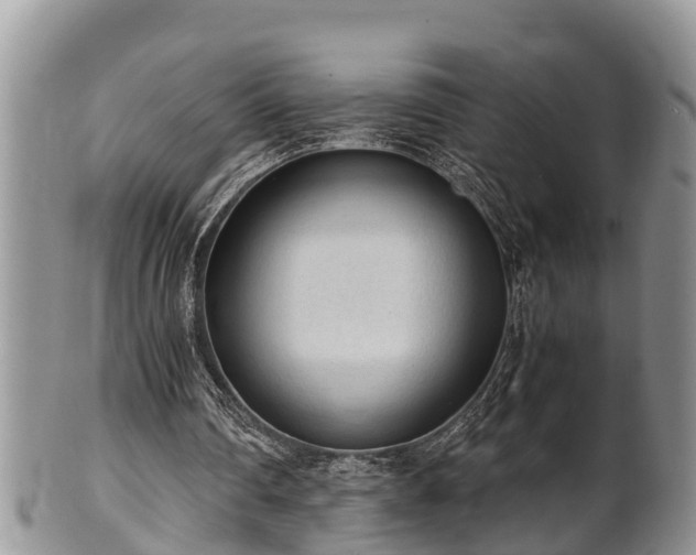 X0000102300290200808011546