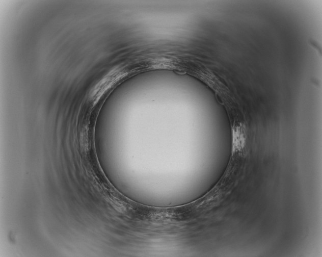 X0000102300291200808011546