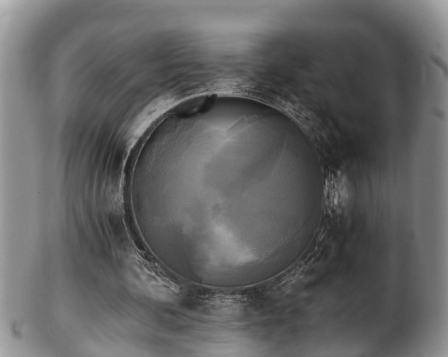 X0000102300292200808011546